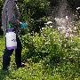 Опрыскиватель PALISAD 64745  ручной усиленный с горловиной 5 литров с насосом шлангом и разбрызгива