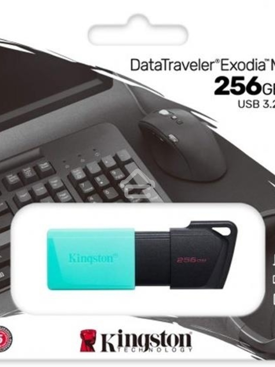 Флеш диск Kingston 256Gb DataTraveler DTXM DTXM/256GB USB3.2 черный/зеленый