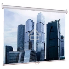 Настенный экран Lumien Eco Picture 229х305см (рабочая область 221х297 см) Matte White прямоуголный корпус, возможность потолочн./настенного крепления, уровень в комплекте, 4:3