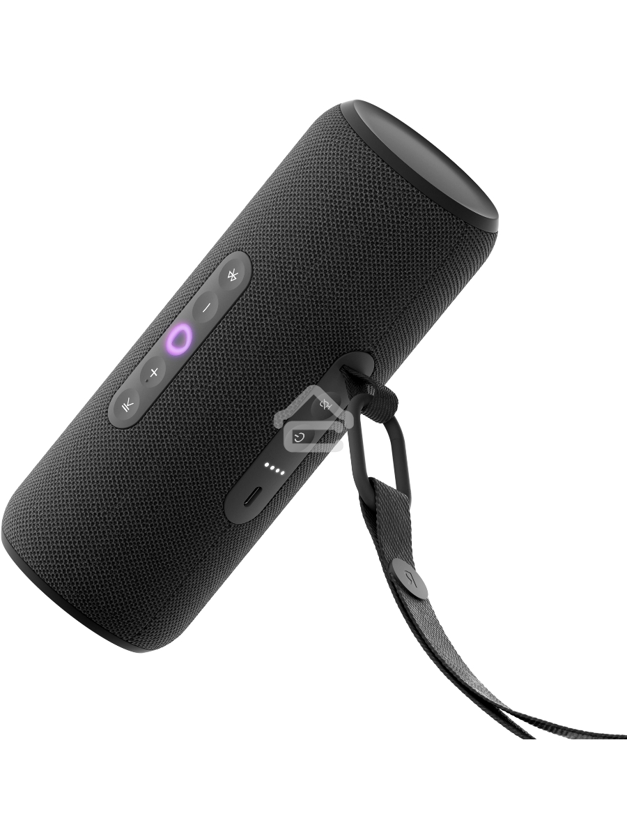 Умная колонка Yandex Стрит Алиса черный 30W 2.0 BT/Wi-Fi 10м 3300mAh (YNDX-00030BLK)