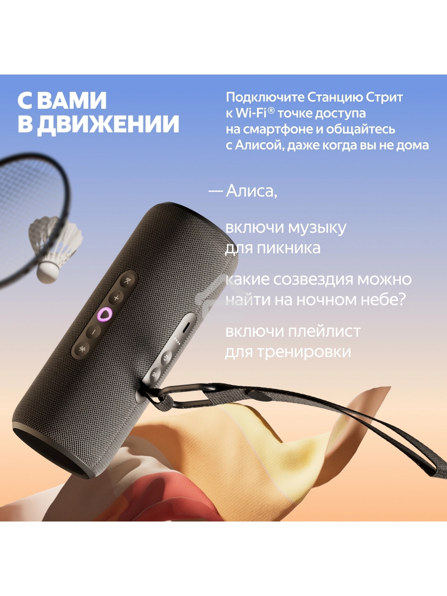 Умная колонка Yandex Стрит Алиса черный 30W 2.0 BT/Wi-Fi 10м 3300mAh (YNDX-00030BLK)