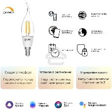 Лампа светодиодная филаментная Gauss Smart Home DIM E14 CF35 4,5 Вт 1/10/40