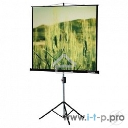 Экраны LUMIEN Lumien Экран на треноге 180x180 см Eco View LEV-100102 1:1 с возможностью настенного крепления