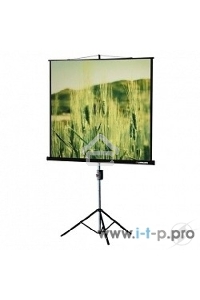 Экраны LUMIEN Lumien Экран на треноге 180x180 см Eco View LEV-100102 1:1 с возможностью настенного крепления