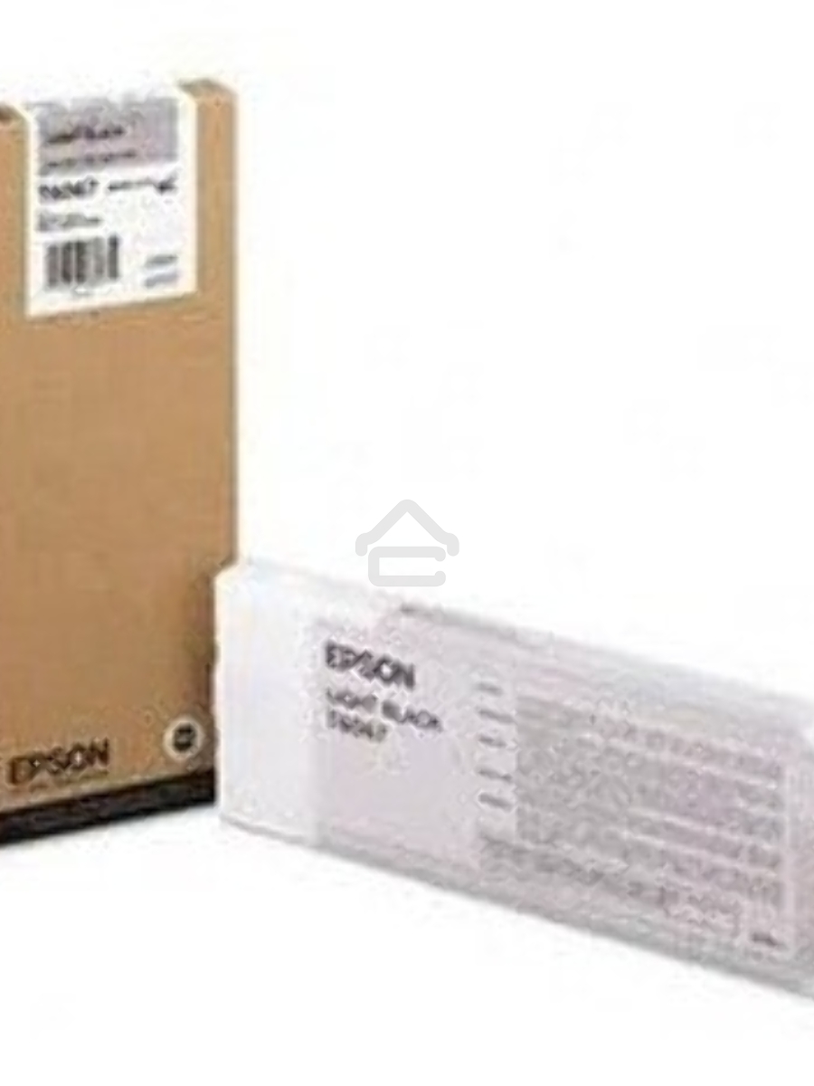 Картридж Epson C13T606700 серый (220 мл.) для Stylus Pro 4880
