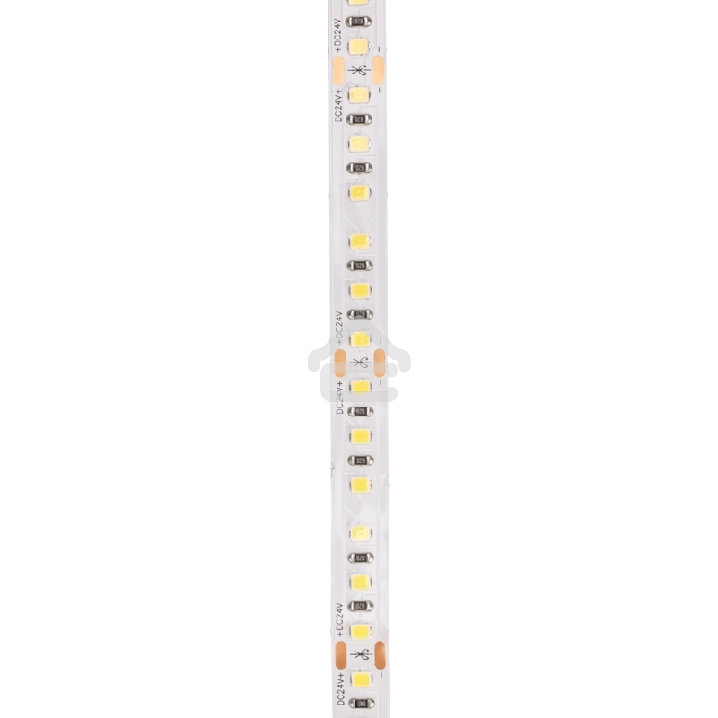 Лента светодиодная 24В, SMD2835, 9,6Вт/м, 120 LED/м, 6500K, 10мм, 5м,IP20 Rexant