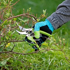 Секатор прямого реза Сибртех 185 мм, пластиковые рукоятки