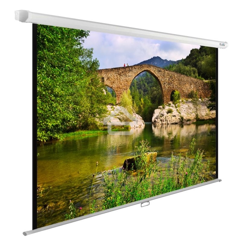 Экран Cactus 220x165 см WallExpert CS-PSWE-220x165-WT 1:1 настенно-потолочный рулонный белый