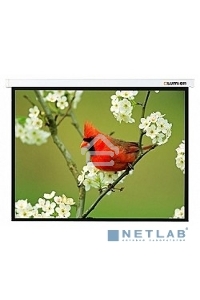 Экран Lumien 115x180см Master Picture LMP-100131 16:10 настенно-потолочный рулонный