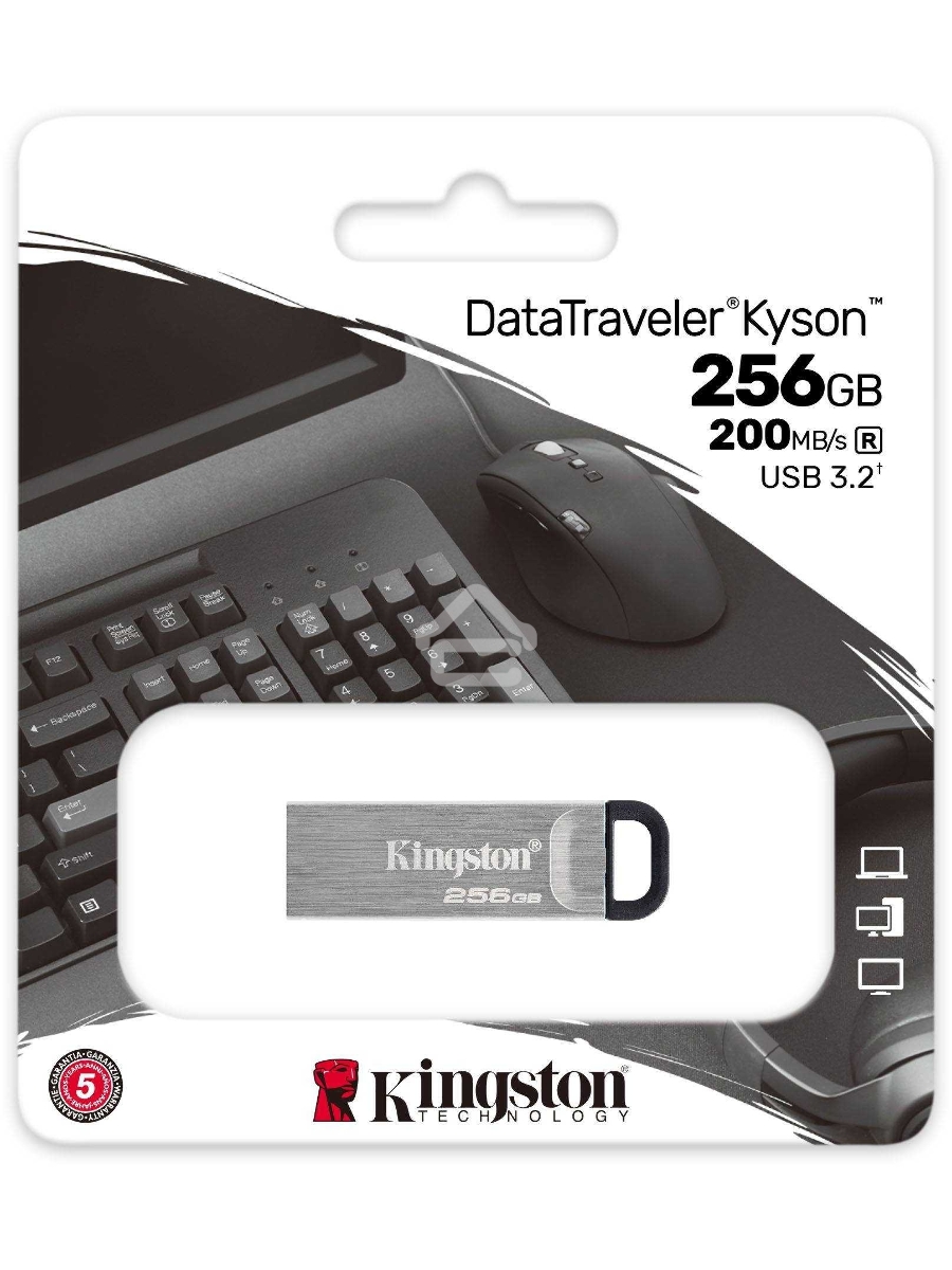 Флеш диск Kingston KYSON 256GB USB 3.2 Gen 1