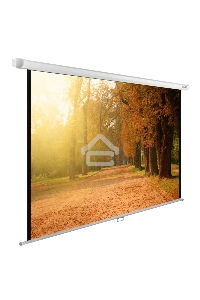 Экран Cactus 125x200см WallExpert CS-PSWE-200x125-WT 16:10 настенно-потолочный рулонный
