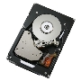 Жесткий диск IBM 300Gb 2Gbs FC E-DDM HDDS 1