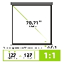 Экран Cactus 127x127см Wallscreen CS-PSW-127X127-SG 1:1 настенно-потолочный рулонный серый