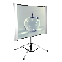 Экран Cactus 102x180см TriAlExpert CS-PSTALE-180X102 16:9 напольный рулонный