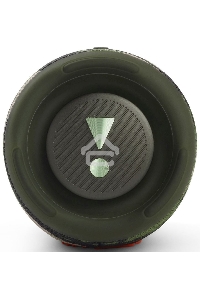 Портативная акустика JBL Charge 5, зеленый