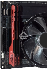 Оперативная память Patriot Viper Elite II, DDR4, 32GB (1x32 GB), 3600 MHz, CL20, радиатор, красный, чёрный