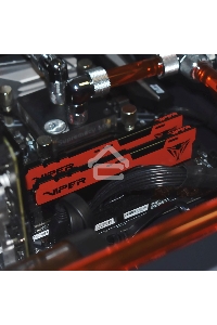 Оперативная память Patriot Viper Elite II, DDR4, 32GB (1x32 GB), 3600 MHz, CL20, радиатор, красный, чёрный