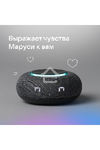 Умная колонка VK Капсула Мини 5Вт, с голосовым ассистентом Маруся, с LED-часами, темно-серый
