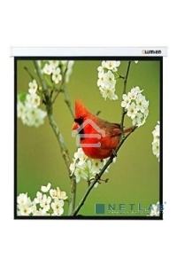 Экраны LUMIEN LUMIEN Master Picture LMP-100129 220*220 1:1, черная кайма по периметру