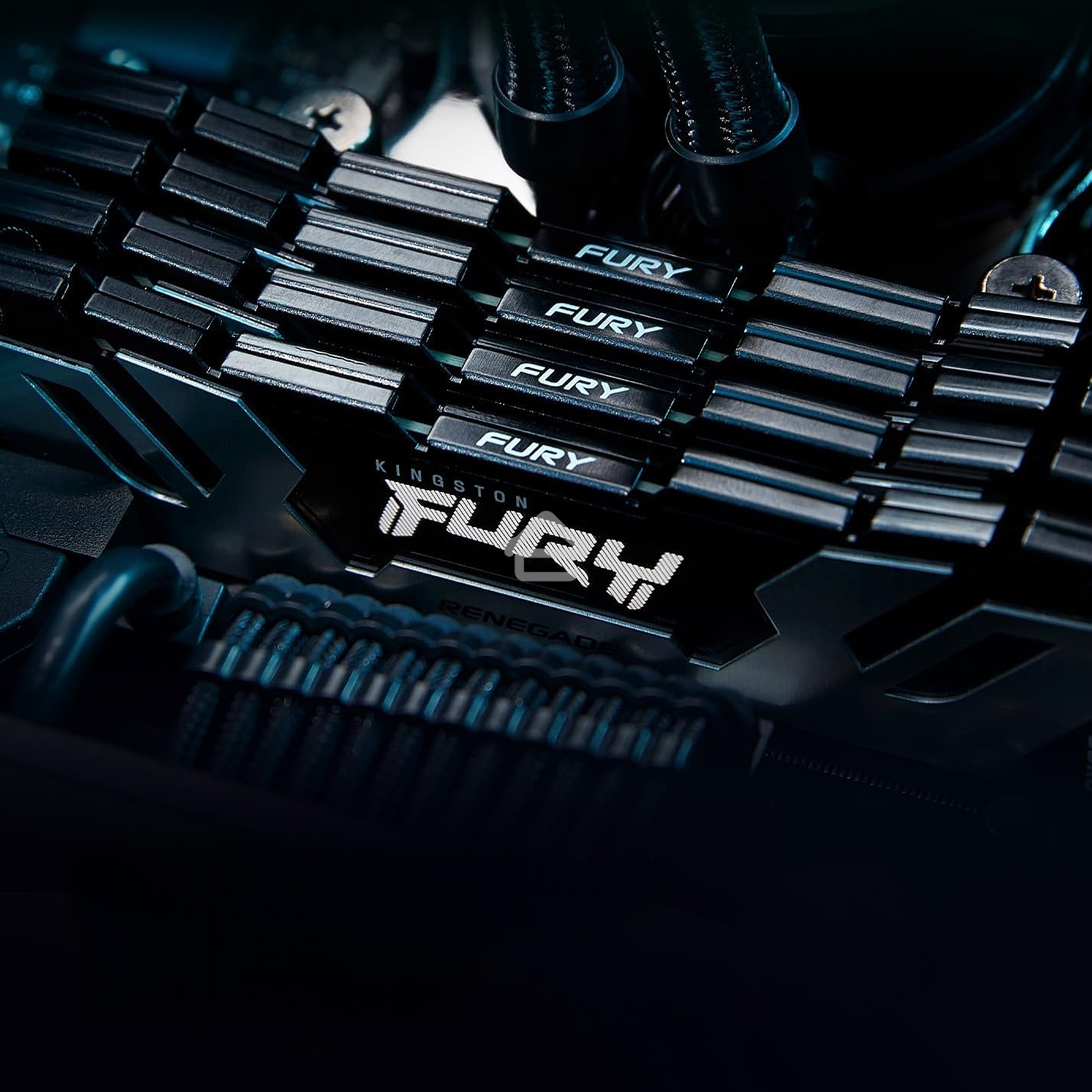 Оперативная память Kingston Fury Renegade, DDR5, 32Gb (1x32GB), 6400MHz, CL32, DIMM, радиатор, серебристый/черный