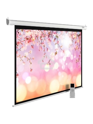 Экран Cactus 220x220см MotoExpert CS-PSME-220x220-WT 1:1 настенно-потолочный рулонный белый (моторизованный привод)