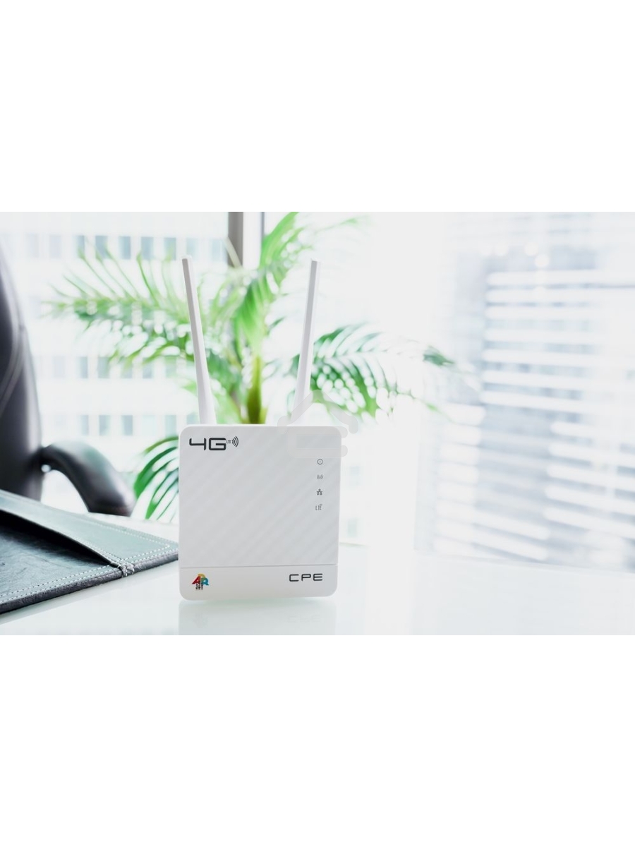 Интернет-центр Anydata R200 (W0047591) 10/100BASE-TX/4G(3G)