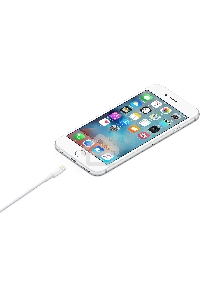 Кабель Apple для iPhone 5/5S MD819ZM/A (MD819ZM/A)