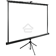 Экран Cactus 160x160см TriExpert CS-PSTE-160x160-BK 1:1 напольный рулонный