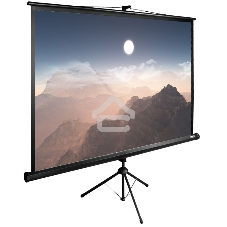 Экран Cactus 180x180 см TriExpert CS-PSTE-180x180-BK 1:1 напольный рулонный