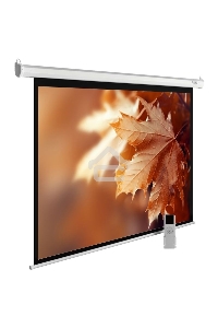 Экран Cactus 188x300см MotoExpert CS-PSME-300x188-WT 16:10 настенно-потолочный рулонный белый (моторизованный привод)