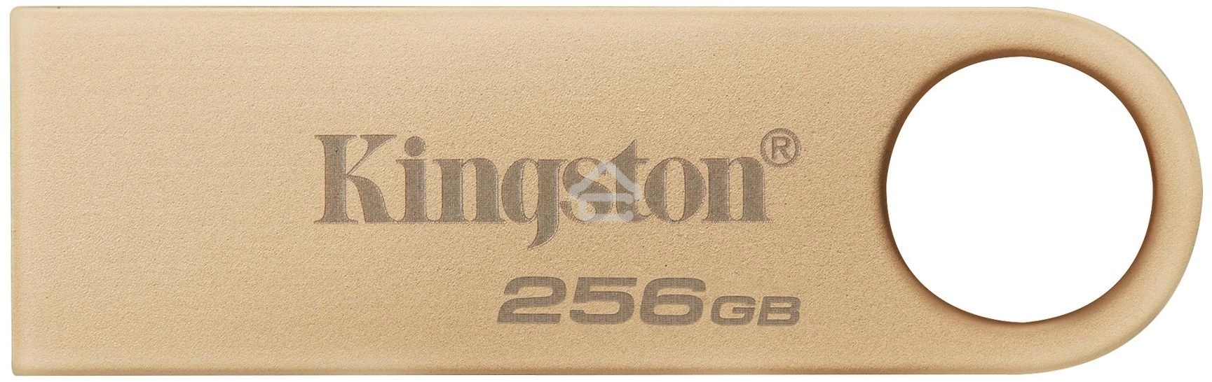 Флешка USB R/W Kingston 256GB DataTraveler SE9 DTSE9G3/256GB USB3.0 серебристый