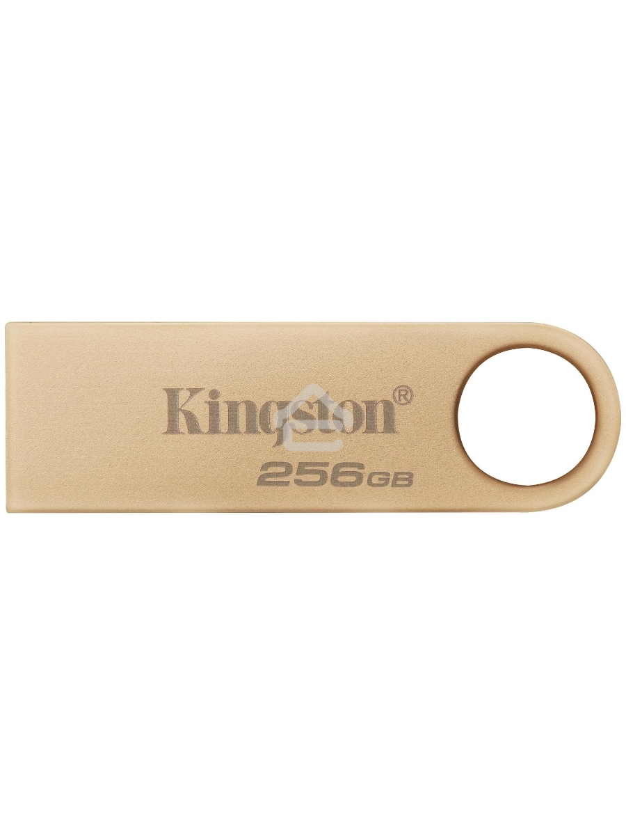 Флеш диск Kingston 256GB DataTraveler SE9 DTSE9G3/256GB USB3.0 серебристый