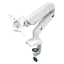 Кронштейн для ЖК мониторов ARM MEDIA LCD-T21w white 15