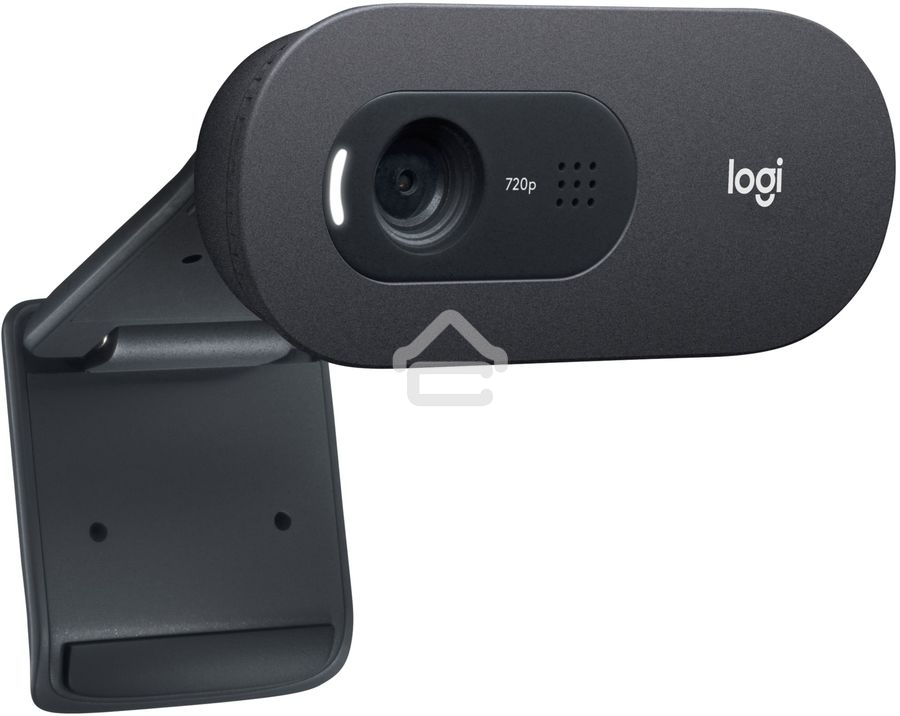 Веб-камера LOGITECH C505e - BLK - USB - N/A - WW   Video Collaboration Group