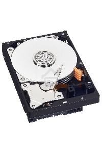 Жесткий диск Western Digital 1Tb 7200rpm WD10EZEX Original SATA-III Caviar Blue 64Mb 3.5
