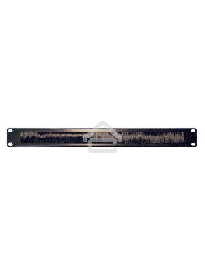 Органайзер LANMASTER (LAN-ORG/BP-1U) Кабельный 19