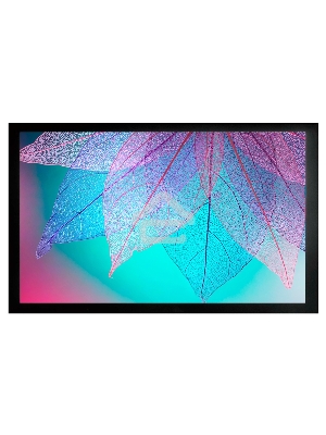 Экран на раме Cactus 124x220см FrameExpert CS-PSFRE-220X124 16:9 настенный натяжной