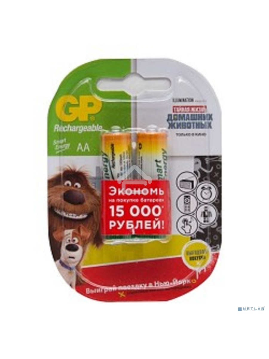 Аккумулятор GP Smart Energy 100AAHCSV AA NiMH 1000mAh (2шт)
