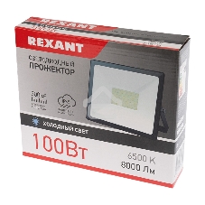 Прожектор светодиодный Rexant 605-005 100 Вт 200–260В IP65 8000 лм 6500 K холодный свет