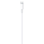 Переходник USB-C to Lightning Cable (2 m)