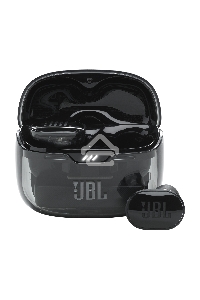 Наушники  JBLTBUDSGBLK черные