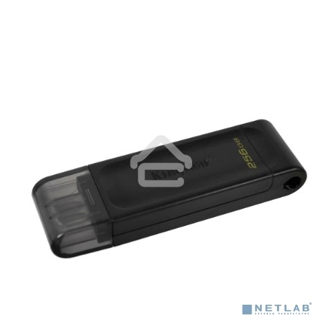 Флешка USB R/W R/W Kingston 256Gb DataTraveler 70 DT70/256GB USB Type-C 3.2 черный