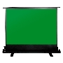 Экран Cactus 150x200см GreenFloorExpert CS-PSGFE-200X150 4:3 напольный рулонный