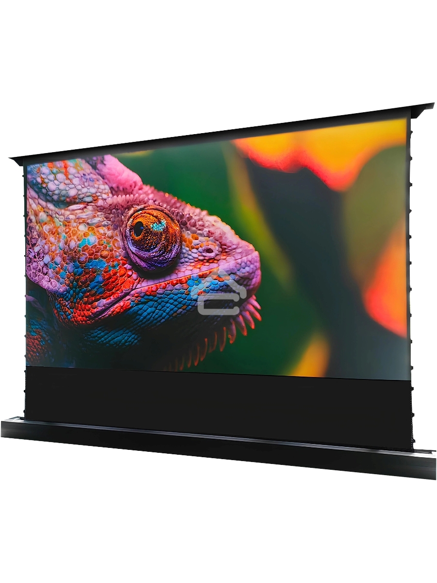 Экран Cactus 125x221см FloorRising CS-PSFRCLR-221X125 16:9 напольный рулонный черный (моторизованный привод)