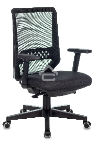 Кресло руководителя Бюрократ EXPERT TW-01 черный 38-418, сетка/ткань, с подголов. крестовина пластик