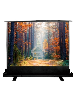 Экран Cactus 135x180см FloorExpert CS-PSFLE-180X135 4:3 напольный рулонный