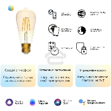 Лампа светодиодная филаментная Gauss Smart Home DIM+CCT E27 ST64 Golden 6,5 Вт 2000-5500 К 1/10/40