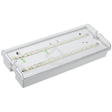 Светильник ДПА 5042-3 аккумулятор 3ч IP65 аварийный универс. подкл. ИЭК LDPA0-5042-3-65-K01