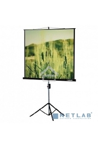 Экран на треноге Lumien 150x150см Eco View LEV-100101 1:1 напольный рулонный