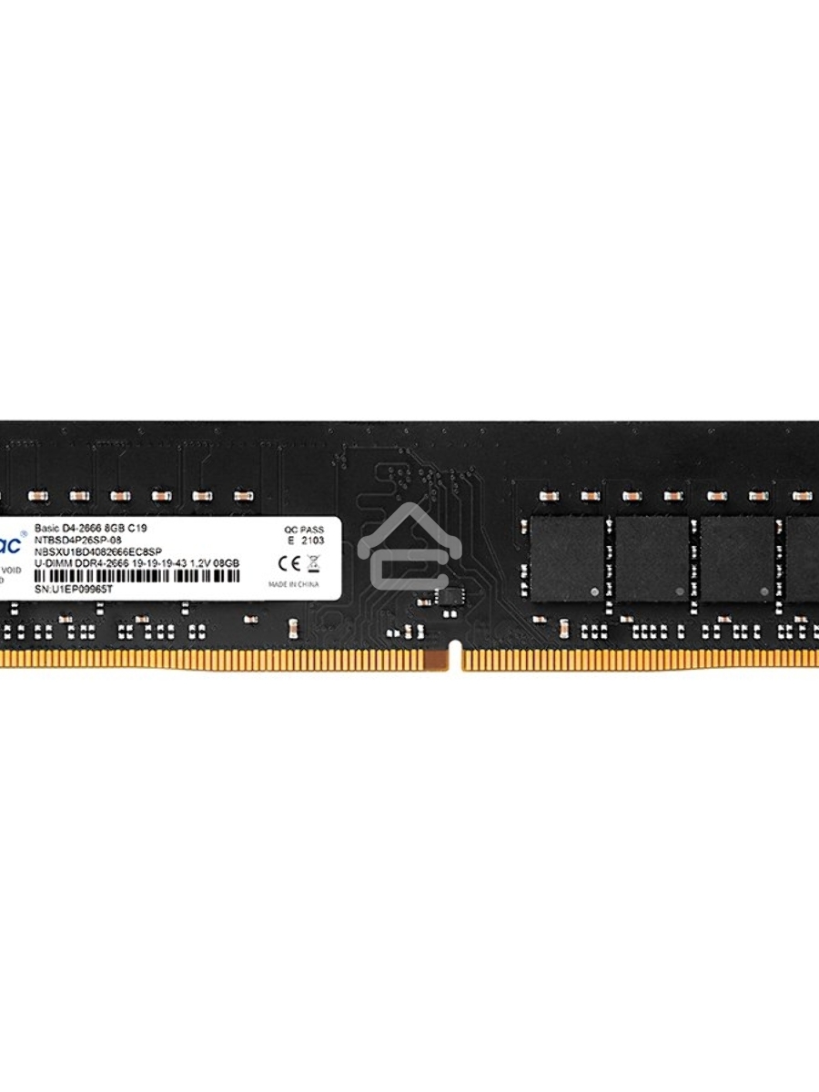 Оперативная память NETAC Basic, DDR4, 8GB (1x8GB), 2666MHz, CL19, DIMM